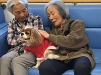 犬とのふれあい