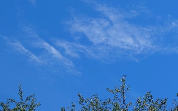 秋の空🌥 – ヴィラ南本宿